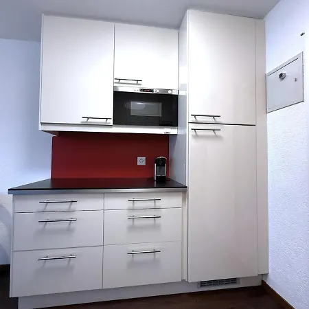 Laerchenwald 1904 - Neu Renoviert, Neben Skigebiet Apartamento *