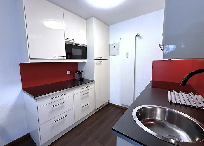 Laerchenwald 1904 - Neu Renoviert, Neben Skigebiet Apartment *