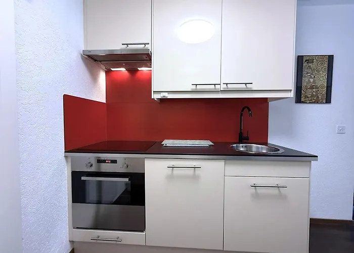 Laerchenwald 1904 - Neu Renoviert, Neben Skigebiet Apartment *